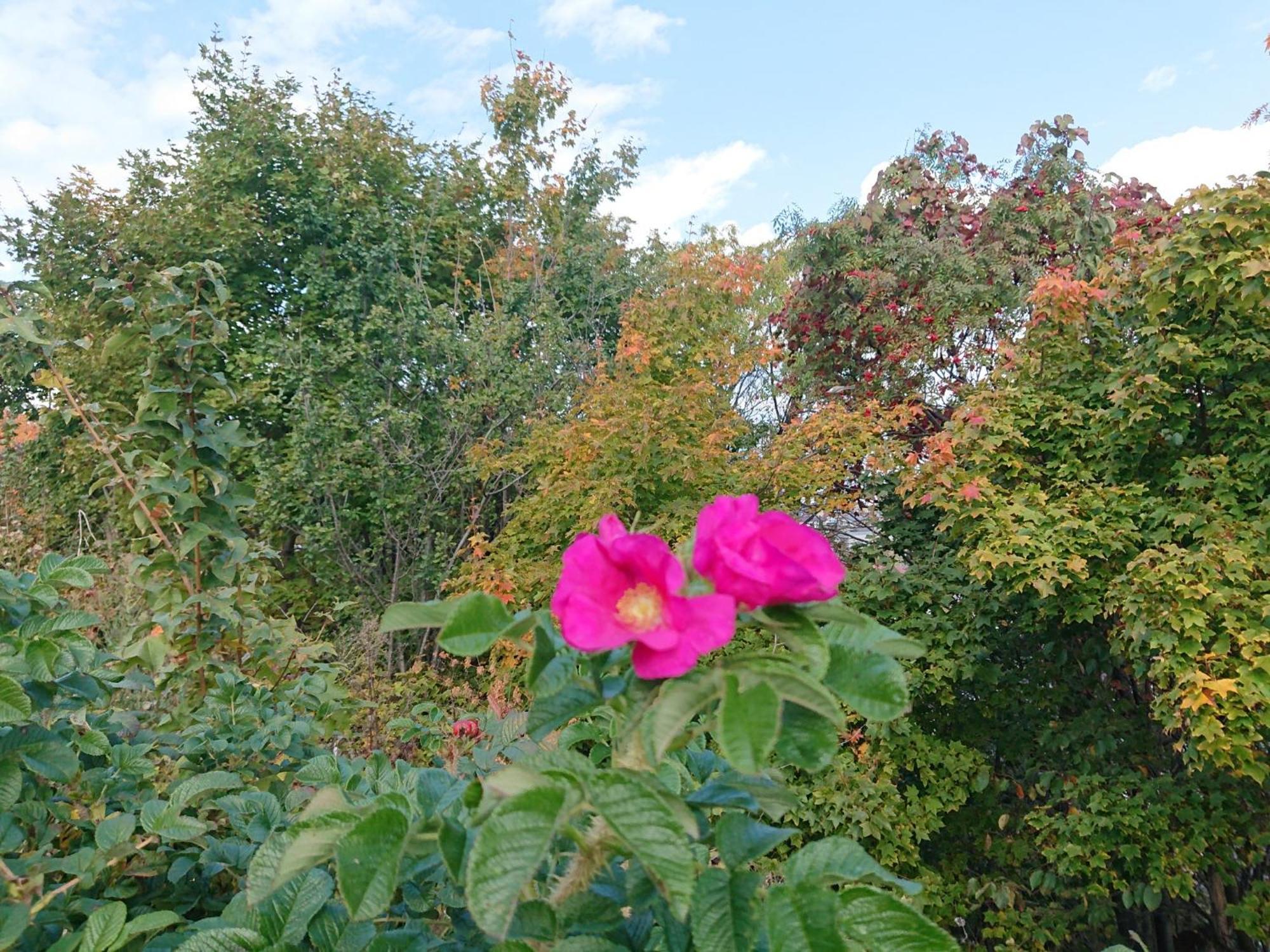 Sea Side Stay / Vacation Stay 1785 Abashiri Zewnętrze zdjęcie